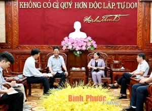 Chủ tịch UBND tỉnh Trần Tuệ Hiền tiếp và làm việc với Công ty Beesco Vina