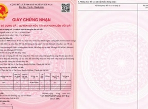 Thông tin người sử dụng đất được ghi trên sổ đỏ như nào theo quy định mới?