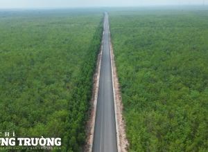 Cận cảnh đường Hồ Chí Minh đoạn qua Bình Dương dự kiến thông xe trước ngày 30/4