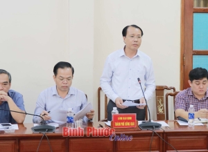 Tập trung toàn lực đẩy nhanh tiến độ dự án cao tốc Gia Nghĩa - Chơn Thành