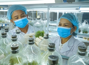 Đề xuất miễn thuế thu nhập thu hút người tài ở nước ngoài