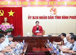 Bình Phước làm việc với Liên danh Vingroup - Techcombank về dự án cao tốc Gia Nghĩa - Chơn Thành