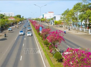 Công bố số liệu phục vụ giải phóng mặt bằng cao tốc Gia Nghĩa - Chơn Thành