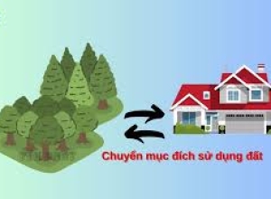 Điều kiện chuyển mục đích sử dụng đất nông nghiệp để thực hiện dự án thí điểm