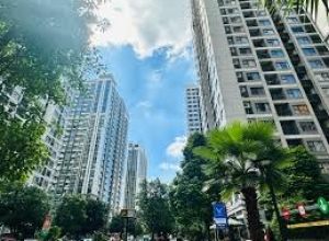 Thị trường bất động sản sôi nổi đầu năm