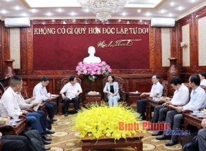 Lãnh đạo tỉnh làm việc với Tập đoàn Sovico