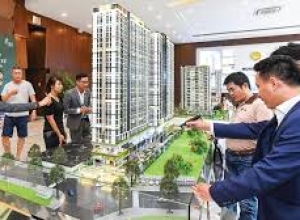 Thị trường căn hộ sôi động