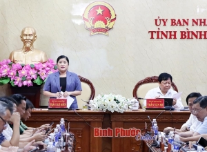 Thông qua phương án quy hoạch phân khu đô thị Suối Cam và điều chỉnh cục bộ quy hoạch phân khu Khu công nghiệp Becamex - Bình Phước