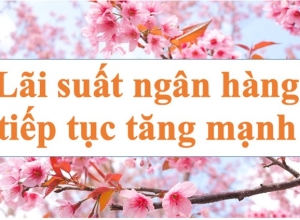 Lãi suất ngân hàng hôm nay 6.1: Tiếp tục tăng mạnh