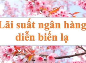 Lãi suất ngân hàng hôm nay 2.1: Diễn biến lạ trên thị trường