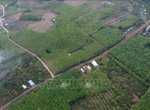 Đề xuất đầu tư tuyến đường kết nối Bình Phước với Đồng Nai