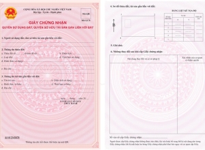 TP.HCM triển khai phôi sổ hồng: Người dân nhận sổ nhanh hơn