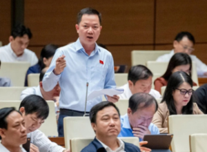 Đại biểu Quốc hội: Không có chuyện lấy đất lúa, đất nông nghiệp một cách đại trà, tràn lan để làm nhà ở thương mại