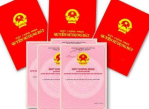Hơn 85.000 sổ hồng được cấp tại TP HCM trong 3 tháng đầu năm