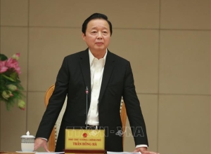 Sẽ sửa quy định về đất không có giấy tờ