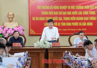 Đã có phương án về nguồn vật liệu xây dựng phục vụ Dự án cao tốc Gia Nghĩa - Chơn Thành