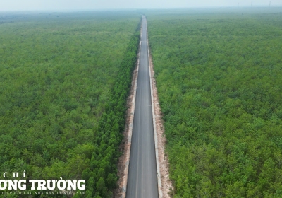 Cận cảnh đường Hồ Chí Minh đoạn qua Bình Dương dự kiến thông xe trước ngày 30/4