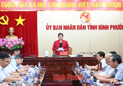 Bình Phước làm việc với Liên danh Vingroup - Techcombank về dự án cao tốc Gia Nghĩa - Chơn Thành