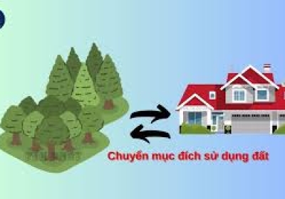 Điều kiện chuyển mục đích sử dụng đất nông nghiệp để thực hiện dự án thí điểm