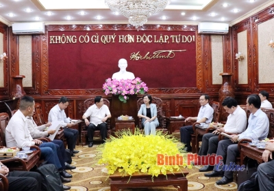 Lãnh đạo tỉnh làm việc với Tập đoàn Sovico