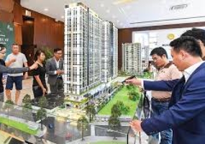 Thị trường căn hộ sôi động