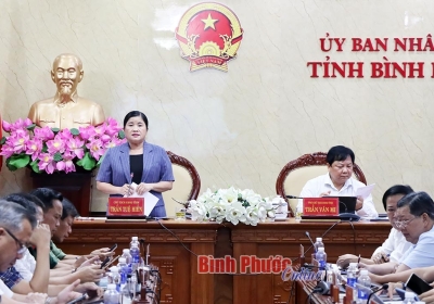 Thông qua phương án quy hoạch phân khu đô thị Suối Cam và điều chỉnh cục bộ quy hoạch phân khu Khu công nghiệp Becamex - Bình Phước