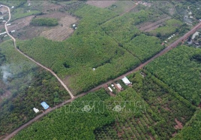 Đề xuất đầu tư tuyến đường kết nối Bình Phước với Đồng Nai