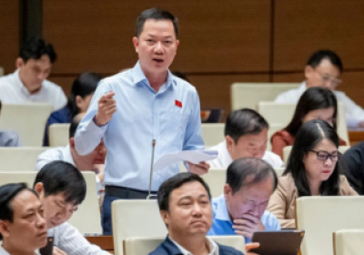 Đại biểu Quốc hội: Không có chuyện lấy đất lúa, đất nông nghiệp một cách đại trà, tràn lan để làm nhà ở thương mại